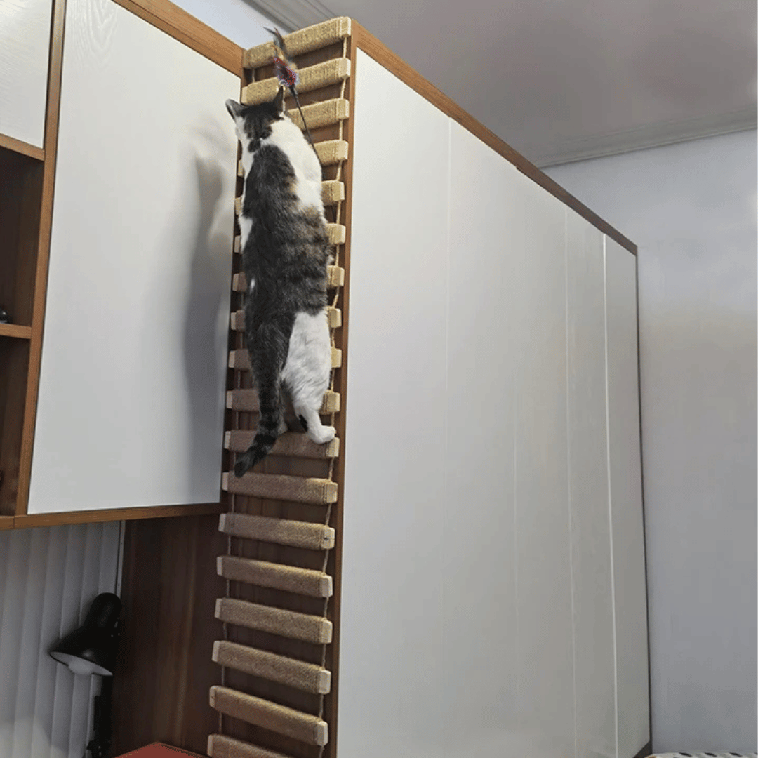 Sisal & Wood Cat Ladder | Wall-Mounted Cat Bridge & Climber 5