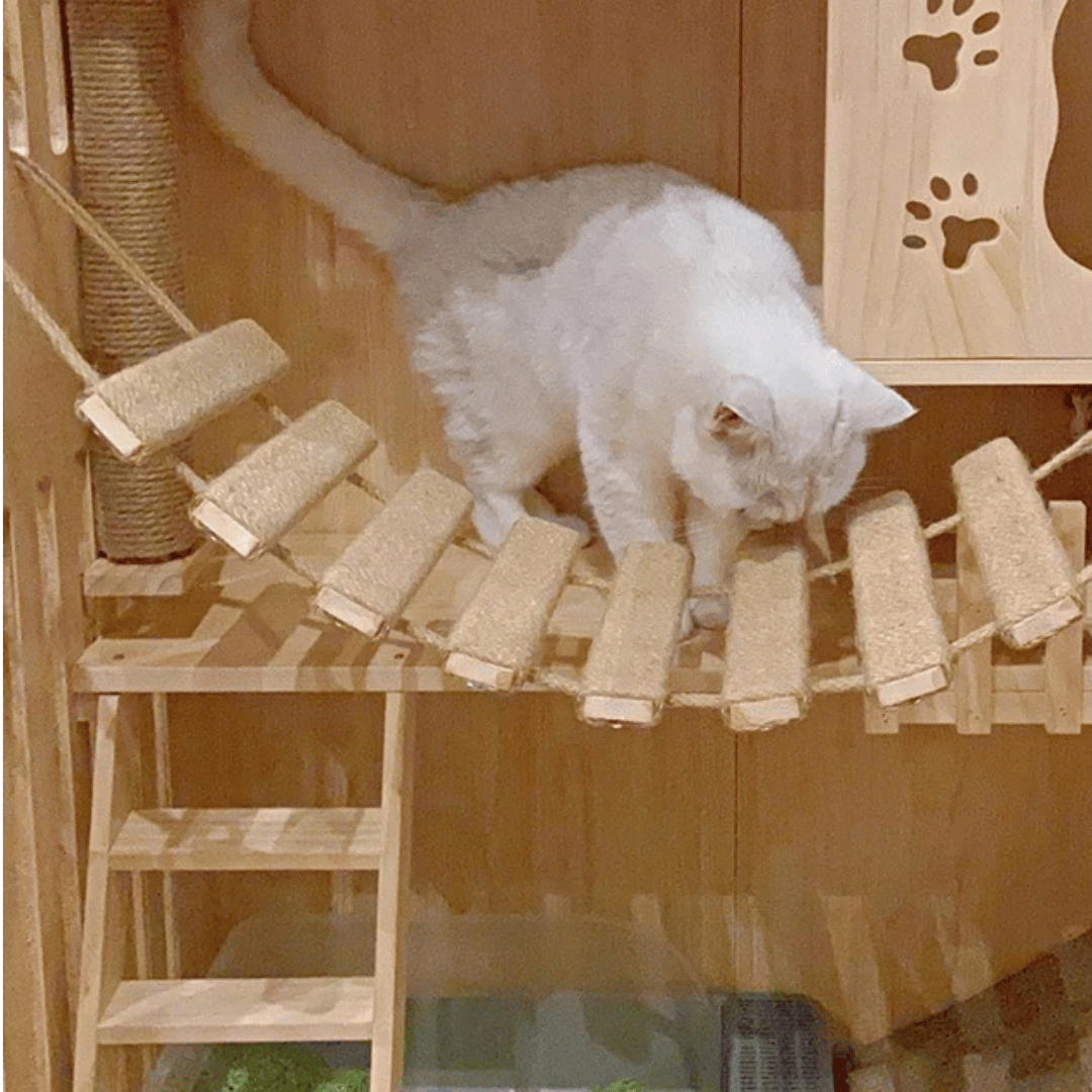 Sisal & Wood Cat Ladder | Wall-Mounted Cat Bridge & Climber 7