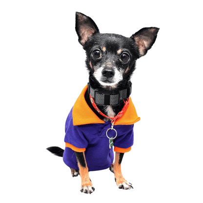 Small Dog Anti-Bark Training Collar with Remote Control | 400m Range 1