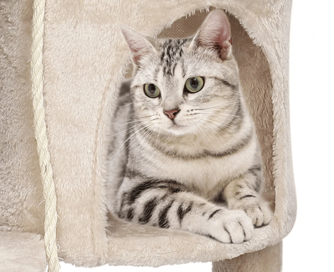 Soft & Sturdy Beige Cat Tree with Plush Perches & Condo 3
