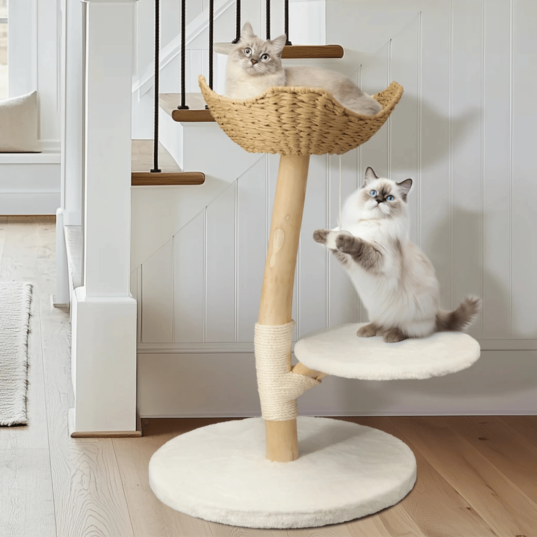 Solid Wood Cat Tree Tower with Stable Basket, Perch & Scratching Post 1