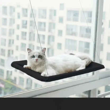 Stylish Cat Window Hammock Perch 1