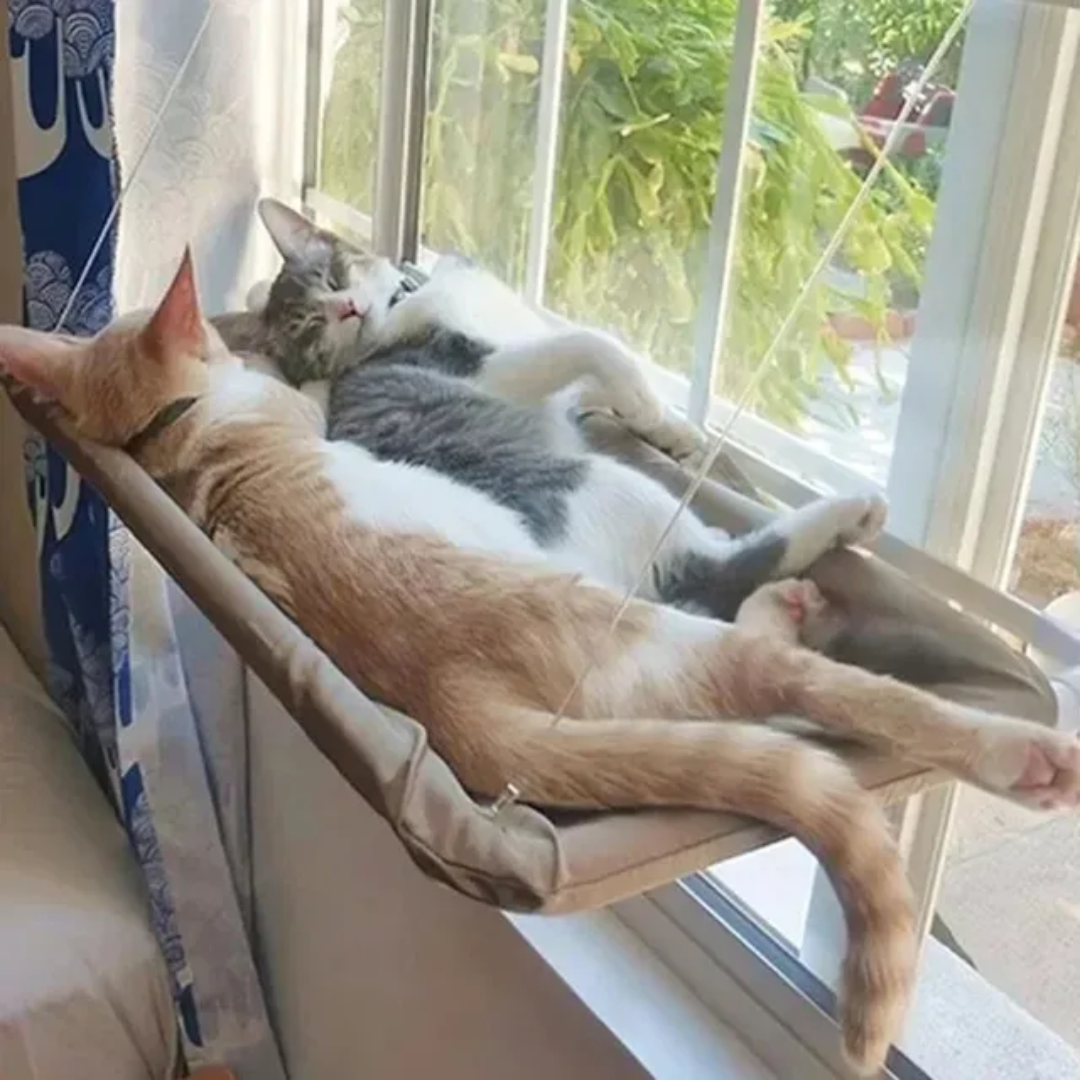 Stylish Cat Window Hammock Perch 10