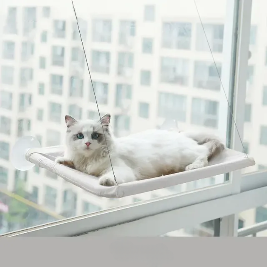 Stylish Cat Window Hammock Perch 4