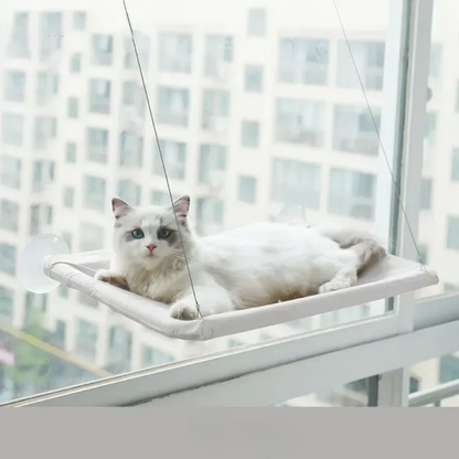 Stylish Cat Window Hammock Perch 4