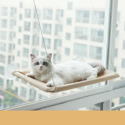 Stylish Cat Window Hammock Perch 6
