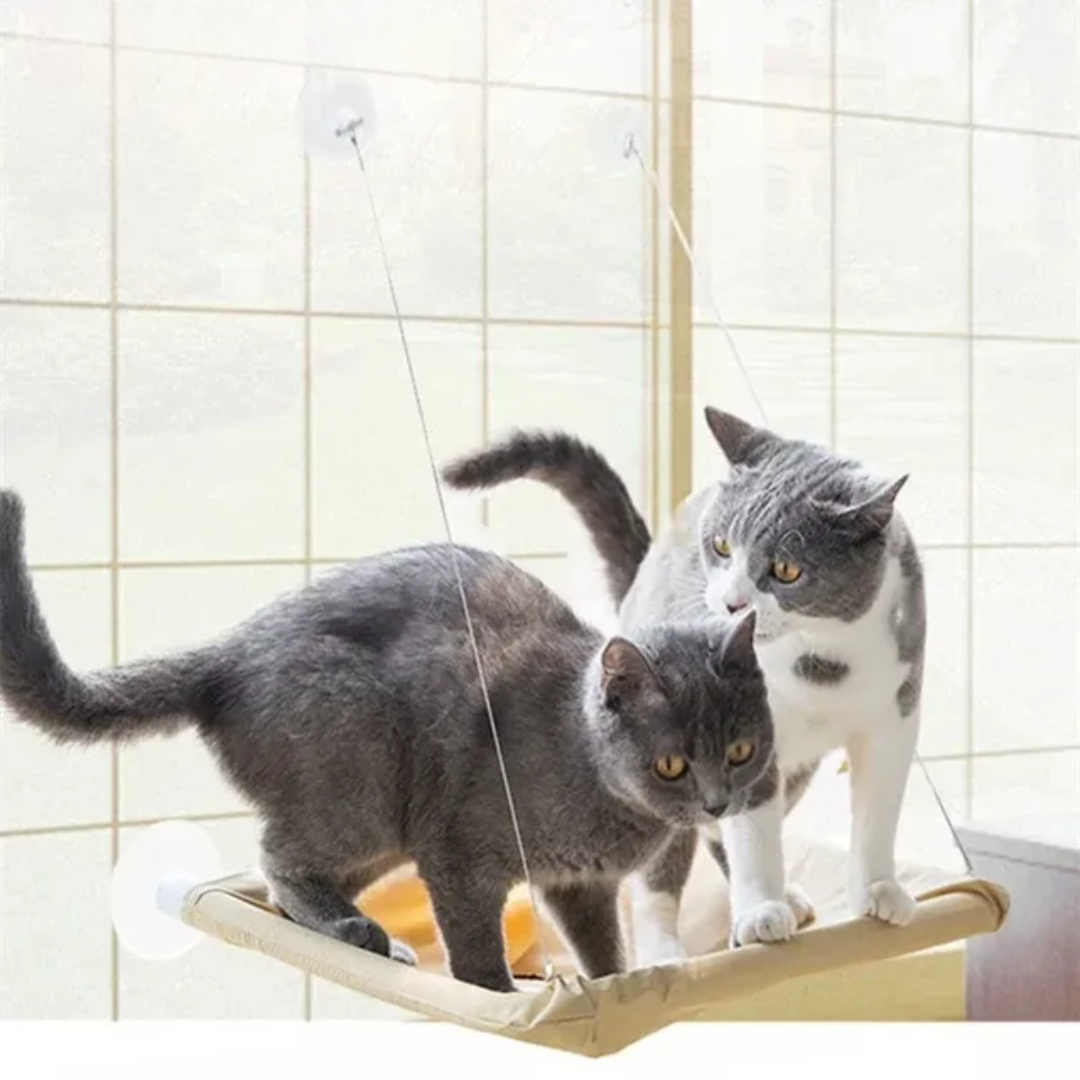 Stylish Cat Window Hammock Perch 8