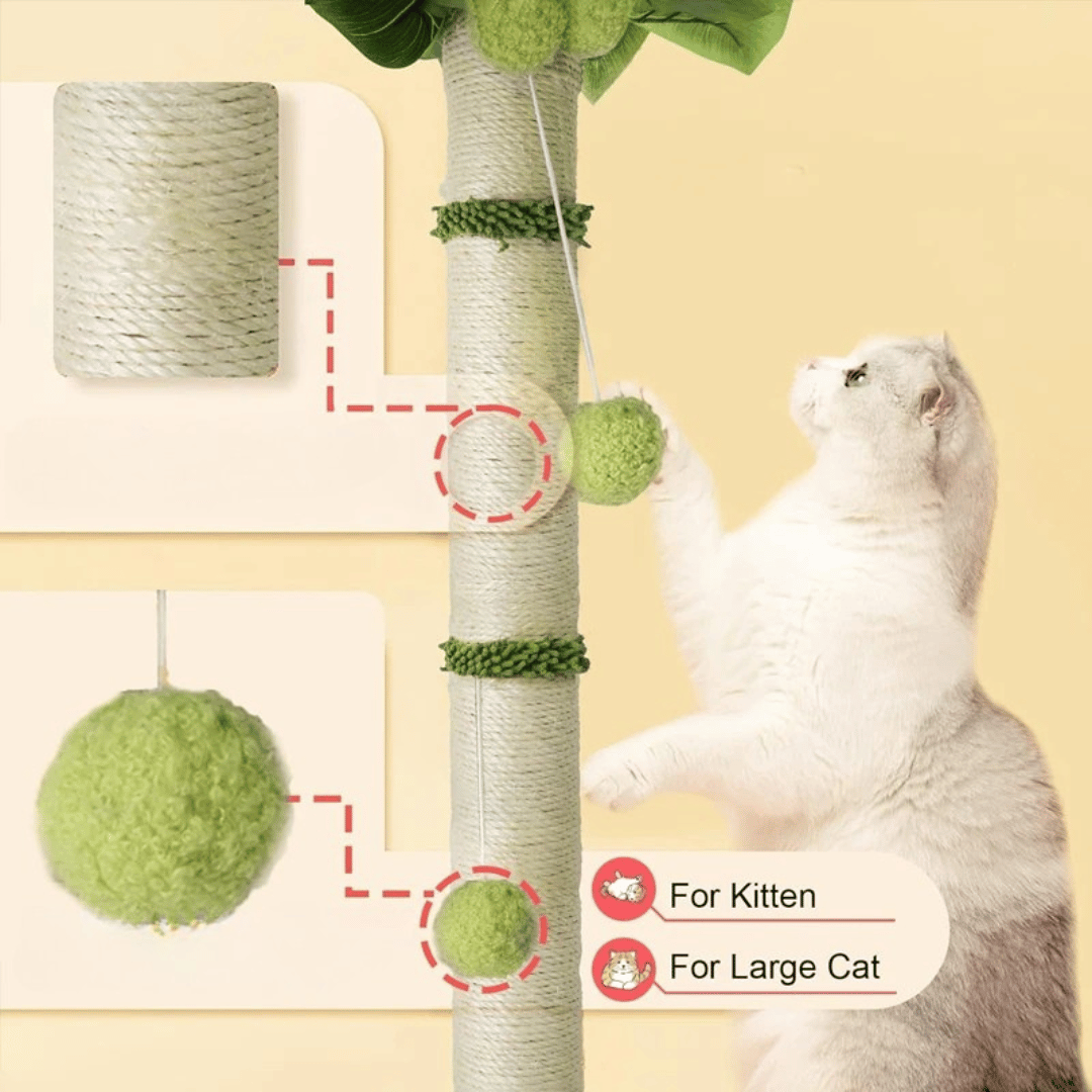 Tail-Tree Cat Scratching Post 10