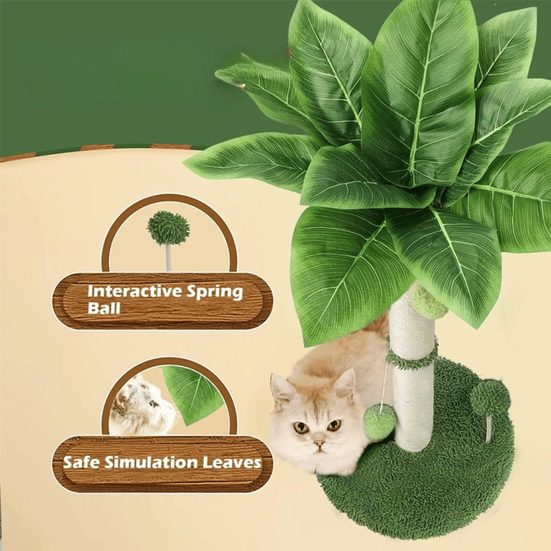Tail-Tree Cat Scratching Post 11
