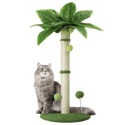 Tail-Tree Cat Scratching Post 2