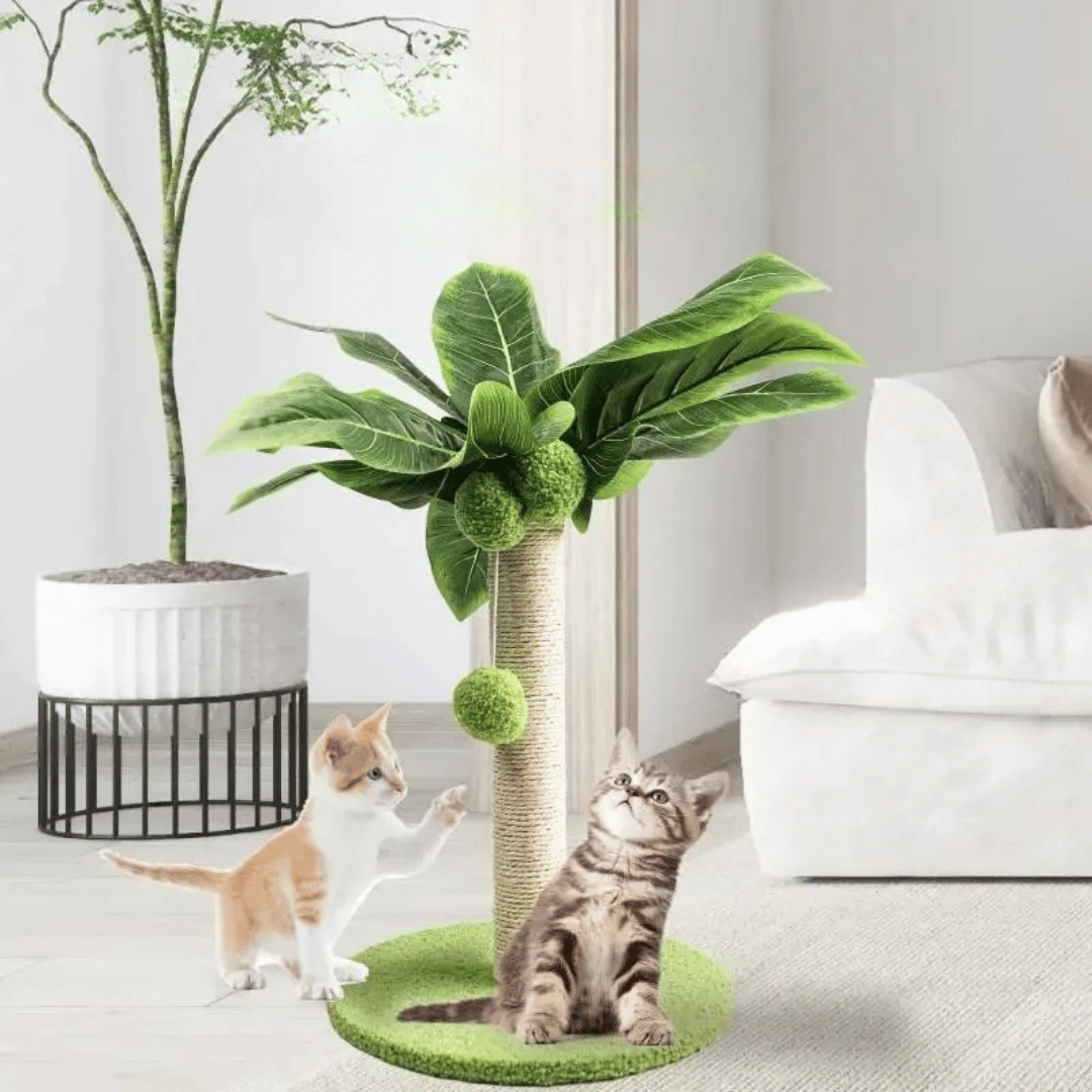 Tail-Tree Small Cat Scratching Post 2