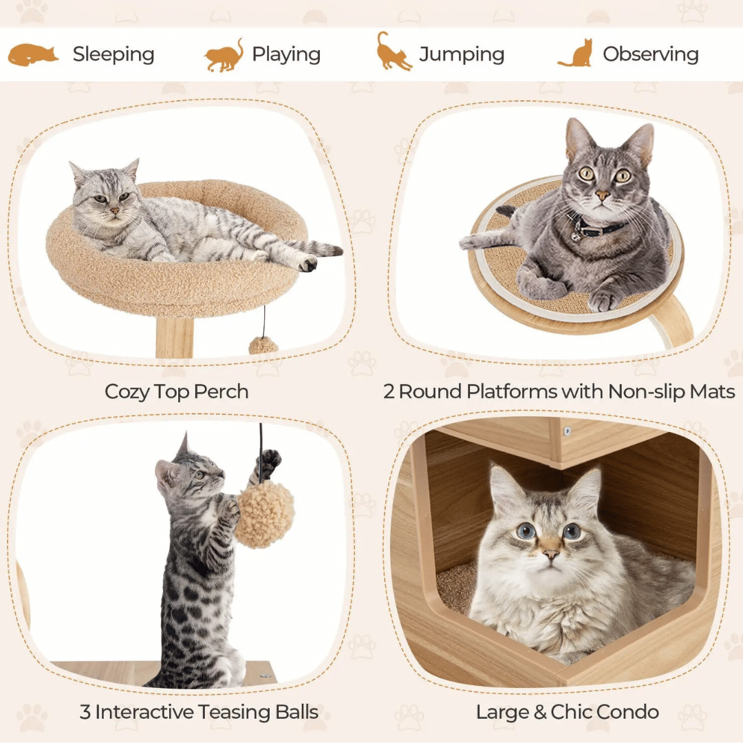 Tall Oak Wood Cat Tree with Plush Perch, Condo & Platforms 6