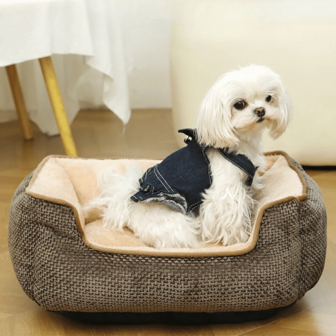 Thick & Comfy Dog Bed for Small Dogs & Cats 10