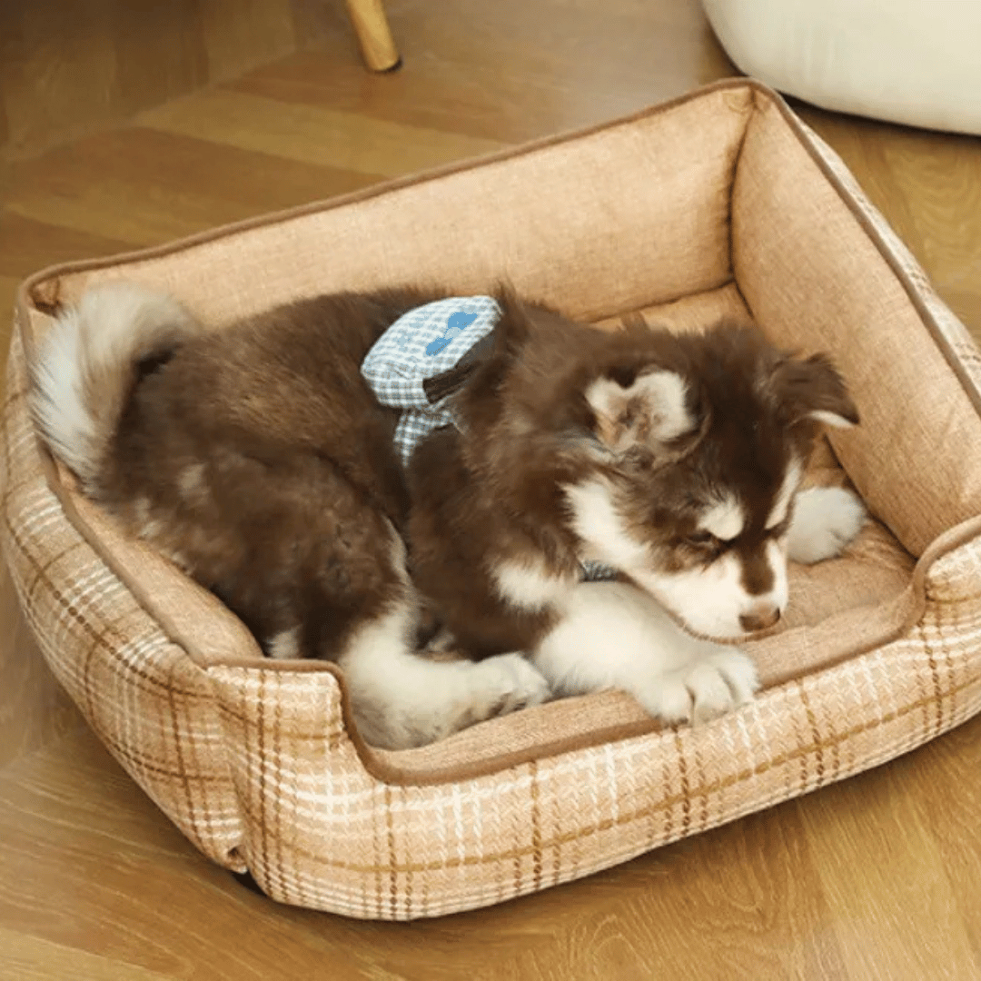 Thick & Comfy Dog Bed for Small Dogs & Cats 6
