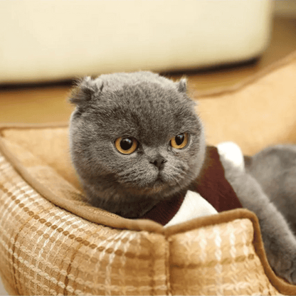 Thick & Comfy Dog Bed for Small Dogs & Cats 7