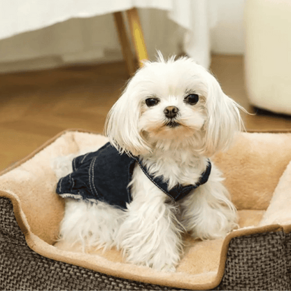 Thick & Comfy Dog Bed for Small Dogs & Cats 9