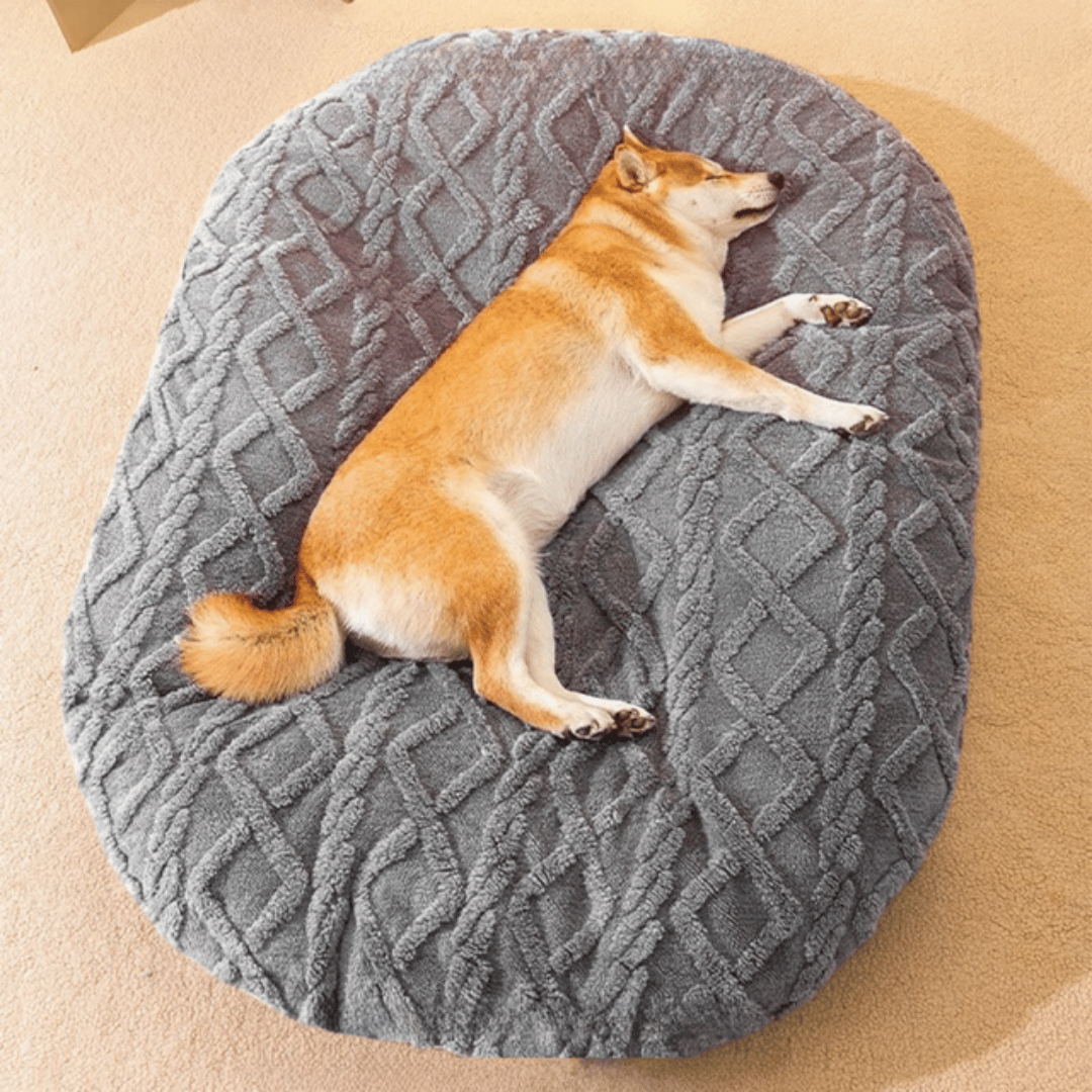 Thick & Cosy Aran Pattern Dog Pillow 2