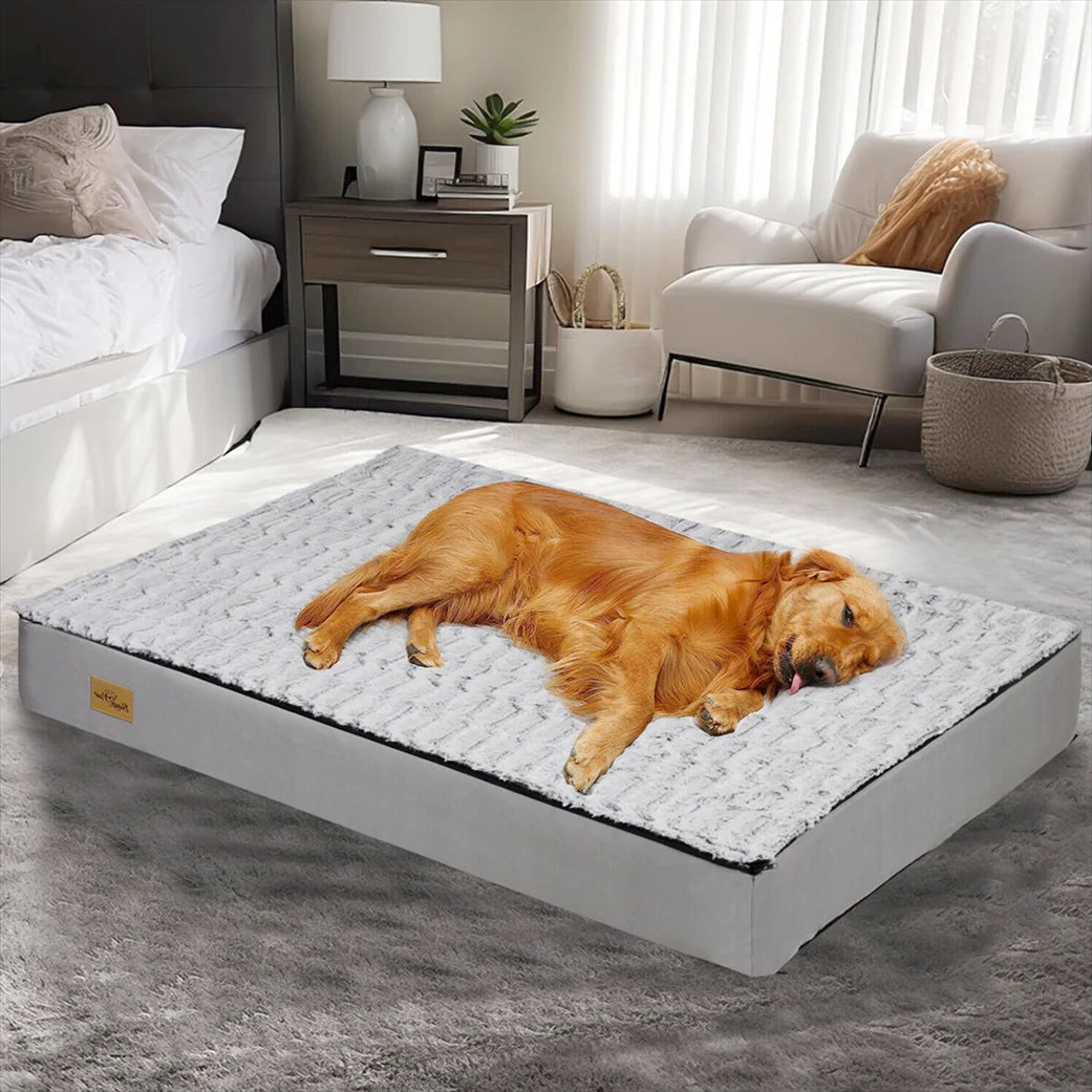 Thick & XL Orthopaedic Dog Bed for Extra Large Dogs with Removable Cover 1