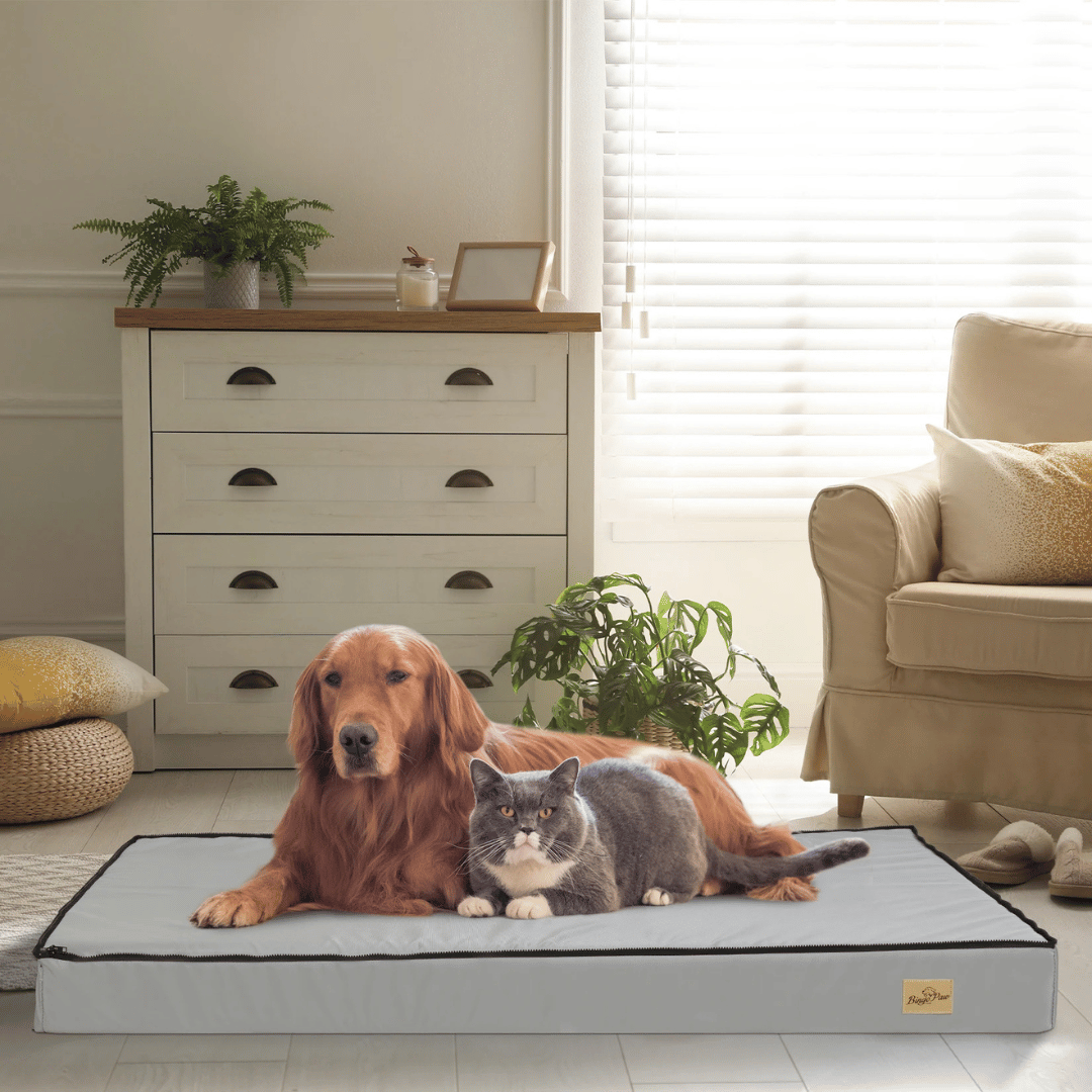 Thick & XL Orthopaedic Dog Bed for Extra Large Dogs with Removable Cover 18