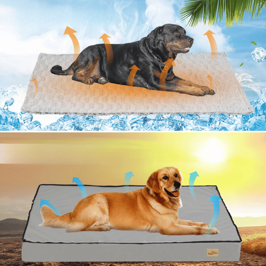Thick & XL Orthopaedic Dog Bed for Extra Large Dogs with Removable Cover 5