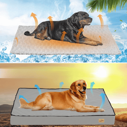 Thick & XL Orthopaedic Dog Bed for Extra Large Dogs with Removable Cover 5