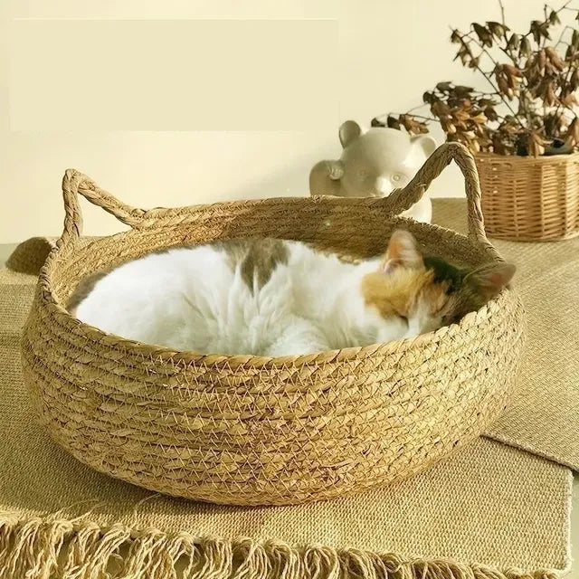 wicker-cat-bed-basket-and-cushion-3