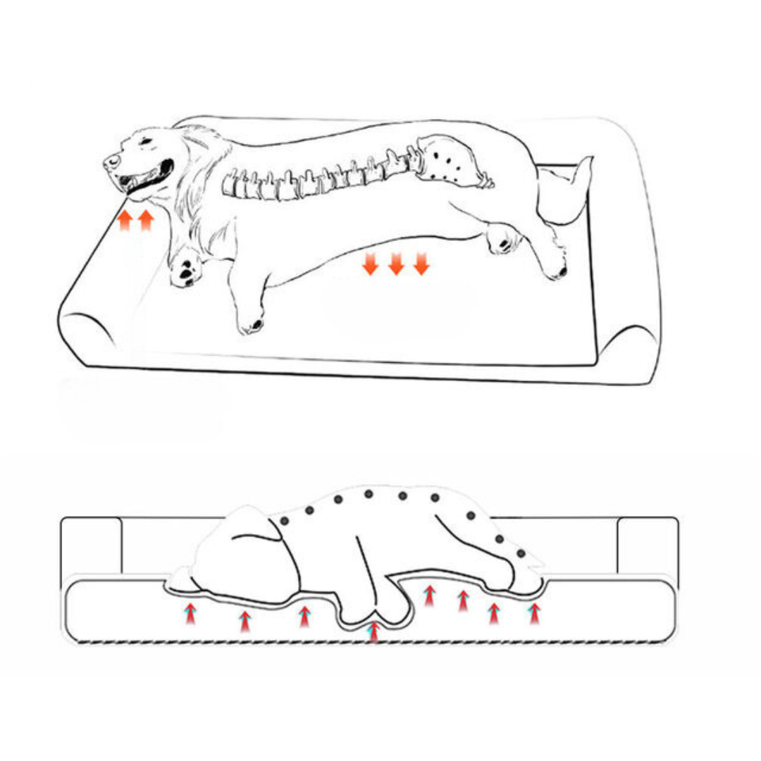 xl-orthopedic-dog-bed-memory-foam-mattress-for-large-dogs-9
