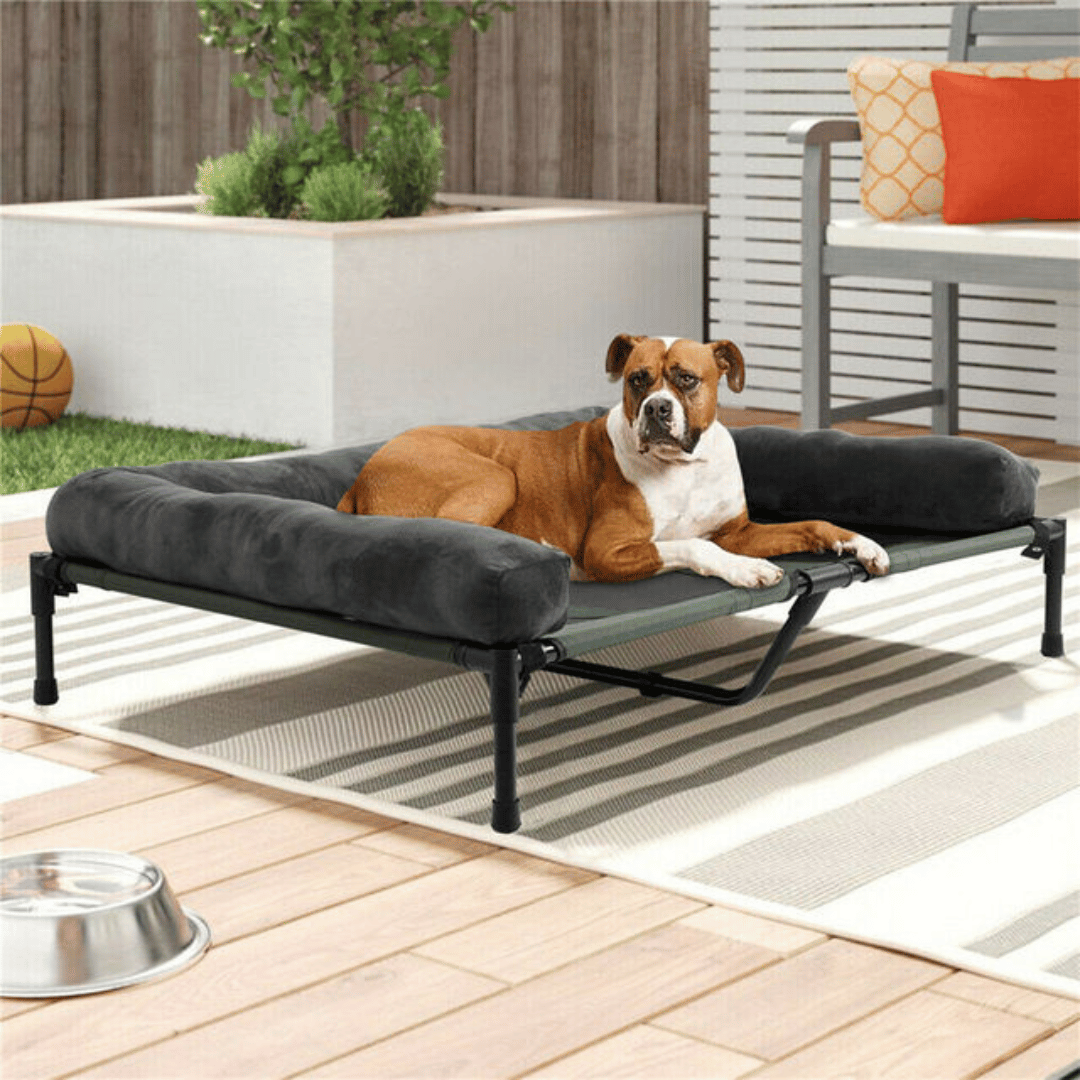 XL Raised Dog Bolster Bed for Large Dogs 1