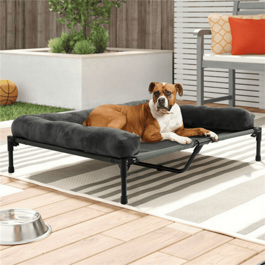 XL Raised Dog Bolster Bed for Large Dogs 1