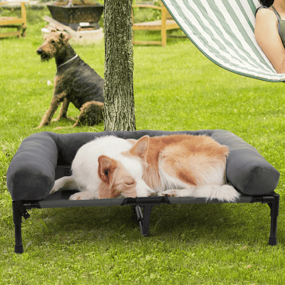 XL Raised Dog Bolster Bed for Large Dogs 19