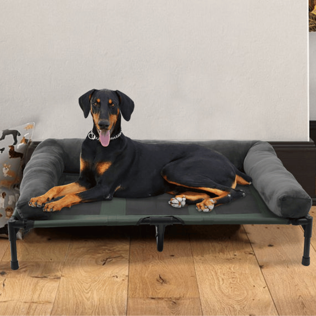 XL Raised Dog Bolster Bed for Large Dogs 3