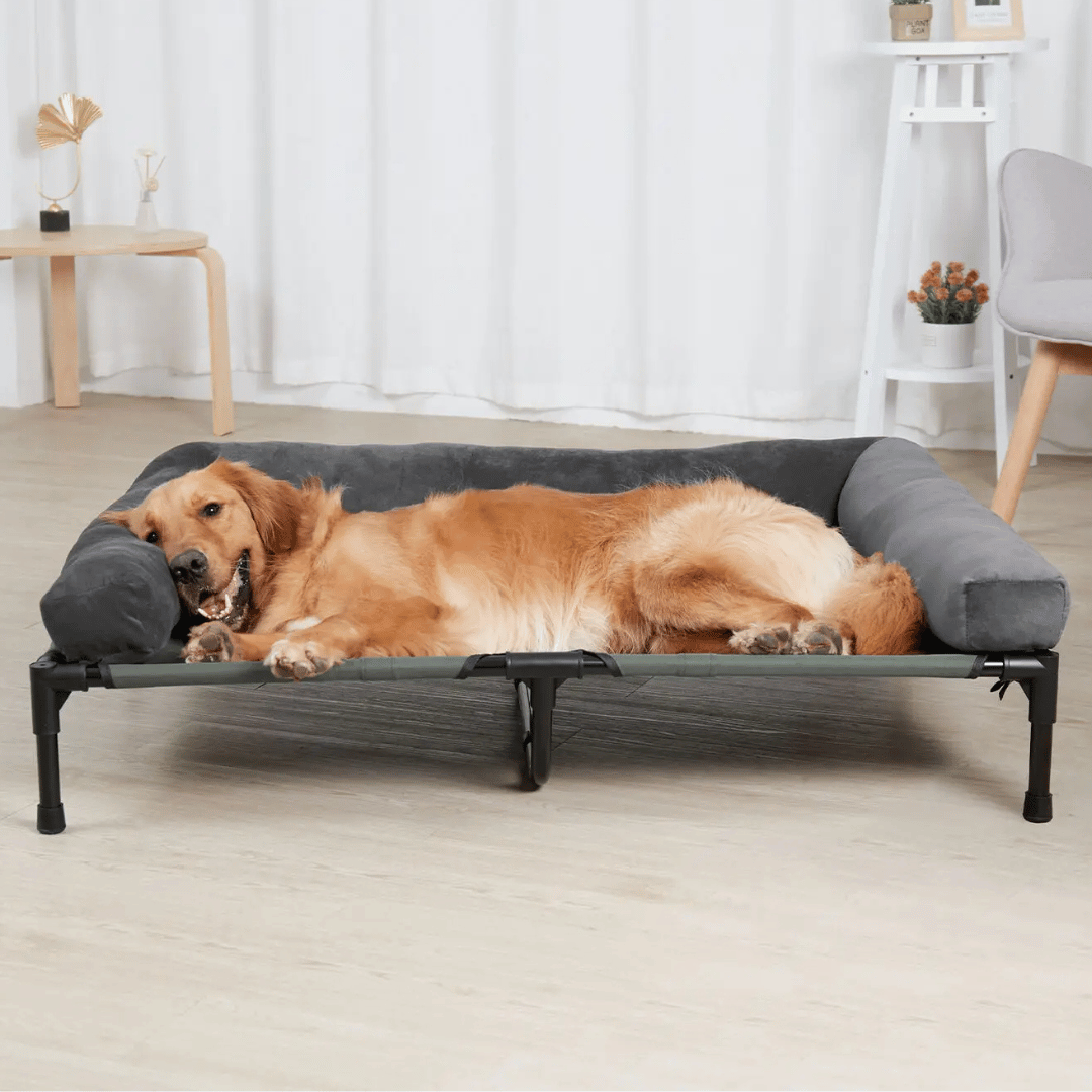XL Raised Dog Bolster Bed for Large Dogs 6