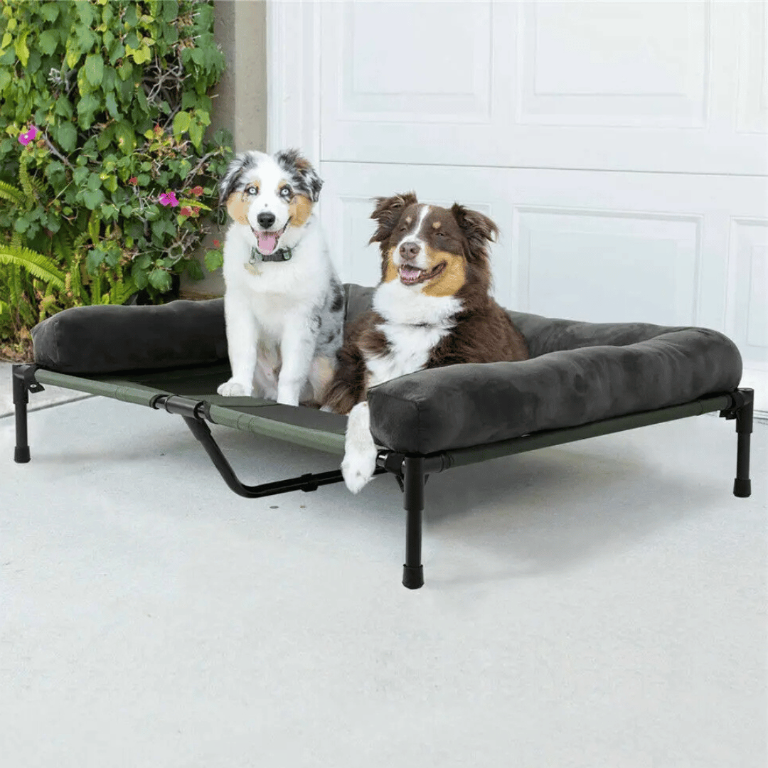 XL Raised Dog Bolster Bed for Large Dogs 8